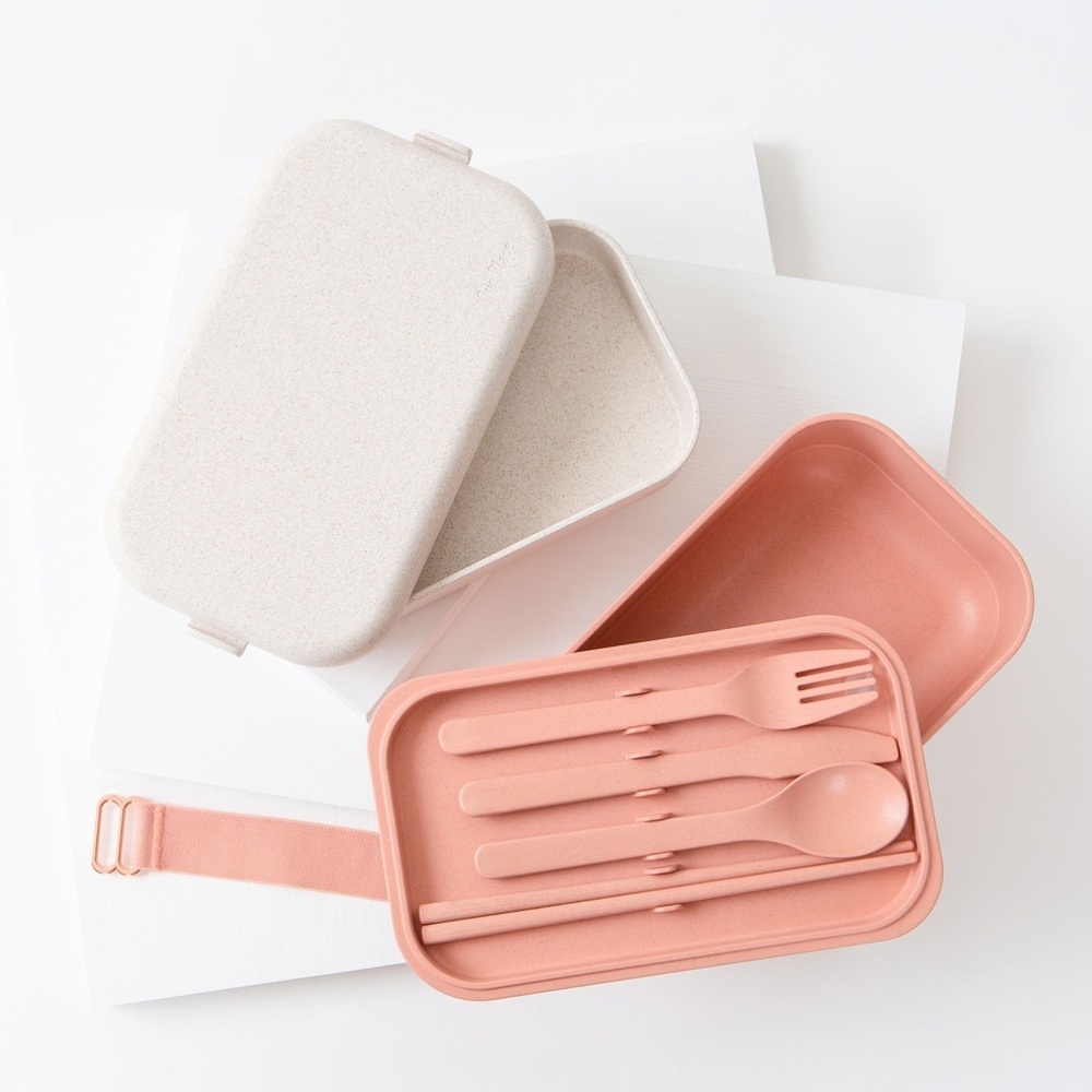 Fabfitfun Lunch Box (our place)